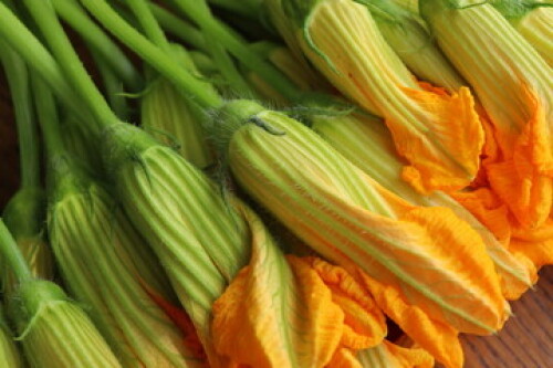 Image of Fresh zucchini flowers on dark rustic background printed on Printed Glass Splashbacks