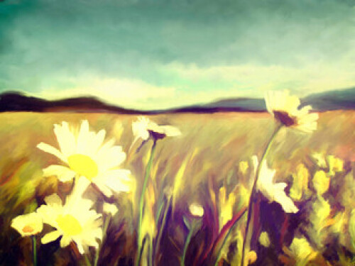 Image of spring watercolor flowers printed on Printed Glass Splashbacks