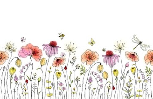 Image of Seamless floral border with colorful wildflowers, poppies, butterflies, bees, dragonfly and ladybugs. Vector horizontal pattern on white background. Hand drawn illustration. printed on Printed Glass Basin Splashbacks