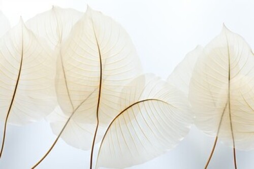 Image of Abstract gentle natural transparent leaves, branches, flowers, with a cyber silverpoint impression. Great as wallpaper, background. Generative AI, AI printed on Printed Glass Basin Splashbacks