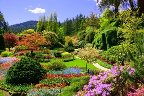 Image of Butchart Gardens, Victoria, Canada. View of the colorful flowers of the sunken garden during spring. printed on Printed Glass Splashbacks